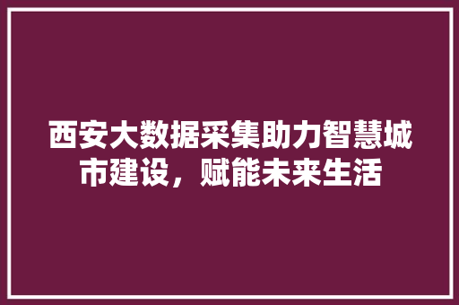 西安大数据采集助力智慧城市建设，赋能未来生活