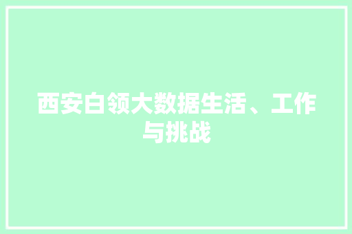 西安白领大数据生活、工作与挑战