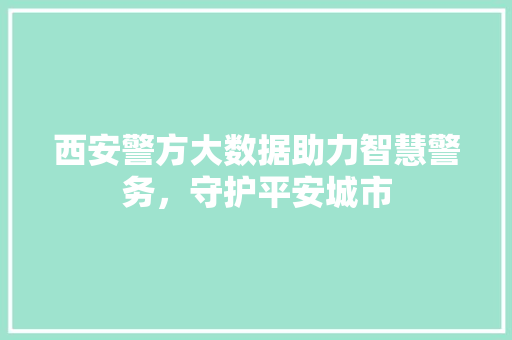 西安警方大数据助力智慧警务，守护平安城市