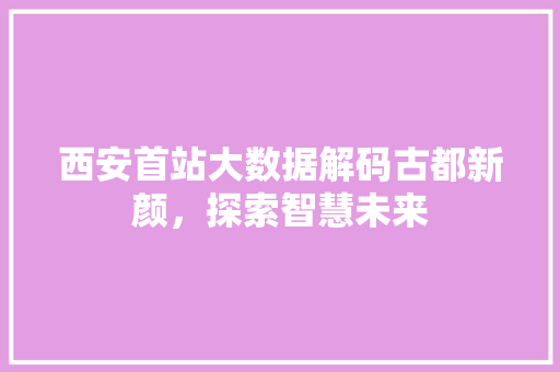 西安首站大数据解码古都新颜，探索智慧未来