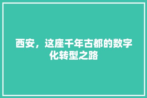 西安，这座千年古都的数字化转型之路