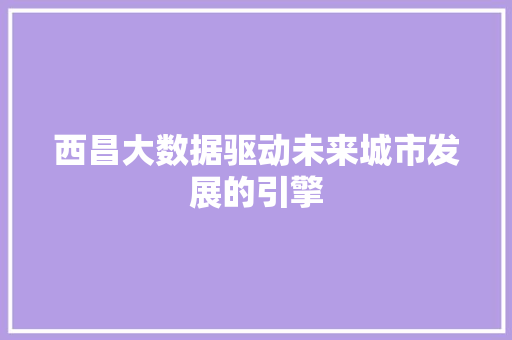 西昌大数据驱动未来城市发展的引擎