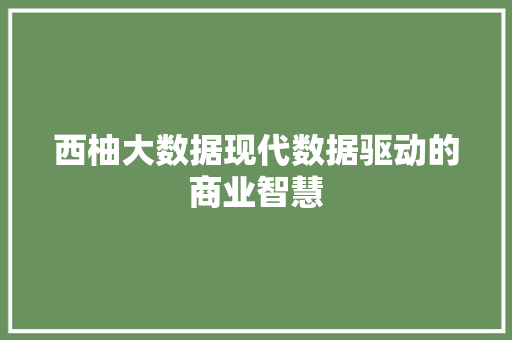 西柚大数据现代数据驱动的商业智慧