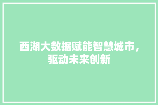 西湖大数据赋能智慧城市，驱动未来创新