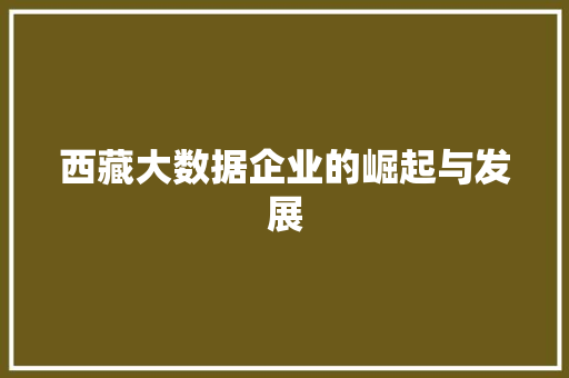 西藏大数据企业的崛起与发展