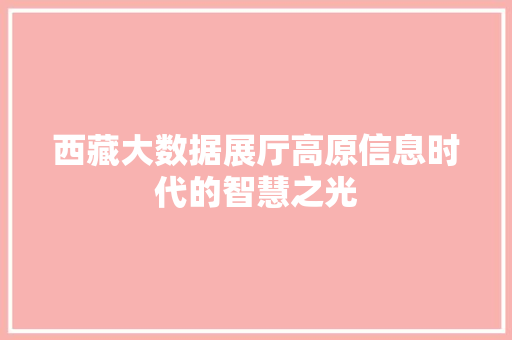 西藏大数据展厅高原信息时代的智慧之光