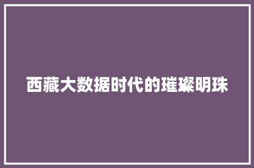 西藏大数据时代的璀璨明珠
