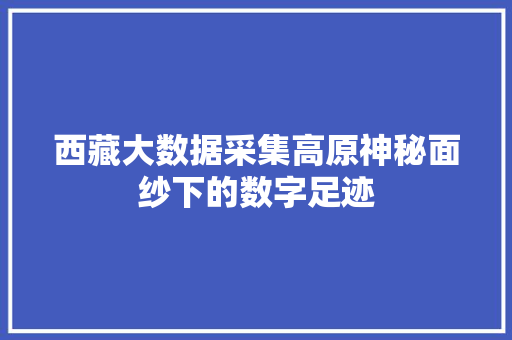 西藏大数据采集高原神秘面纱下的数字足迹