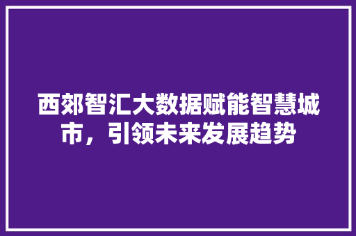 西郊智汇大数据赋能智慧城市，引领未来发展趋势