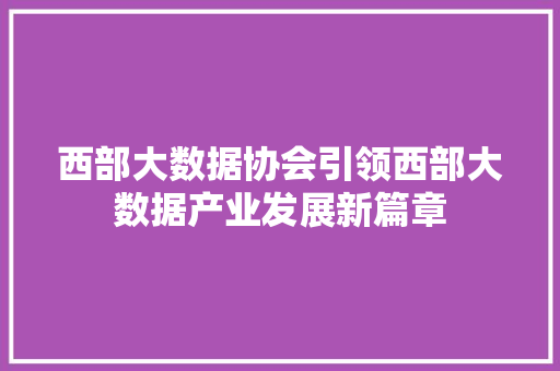 西部大数据协会引领西部大数据产业发展新篇章