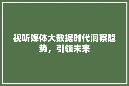 视听媒体大数据时代洞察趋势，引领未来