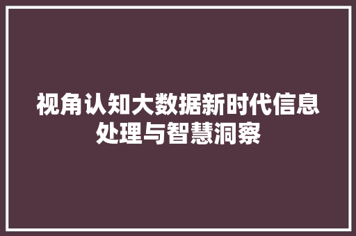 视角认知大数据新时代信息处理与智慧洞察