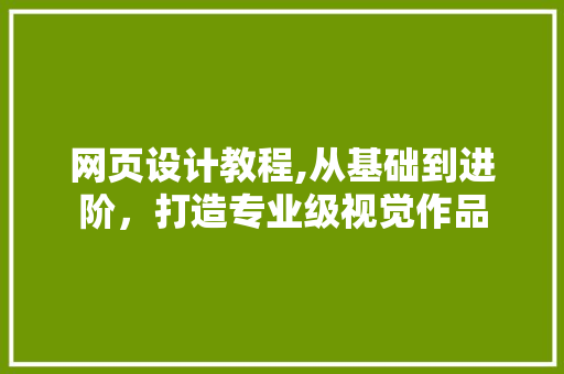 网页设计教程,从基础到进阶，打造专业级视觉作品