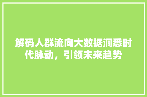 解码人群流向大数据洞悉时代脉动，引领未来趋势