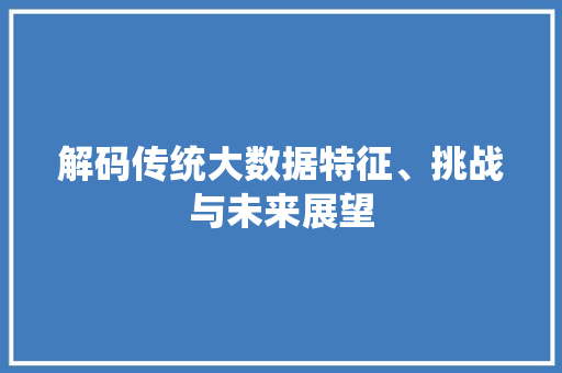 解码传统大数据特征、挑战与未来展望