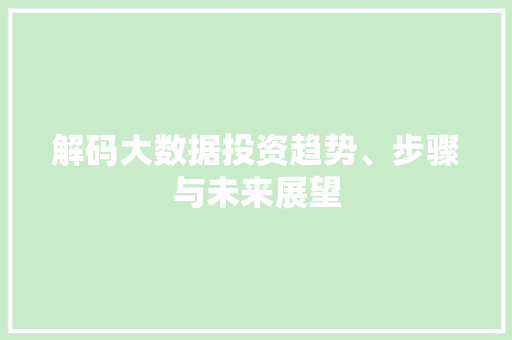 解码大数据投资趋势、步骤与未来展望