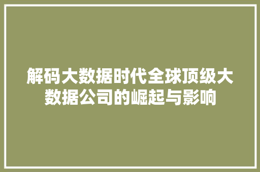 解码大数据时代全球顶级大数据公司的崛起与影响