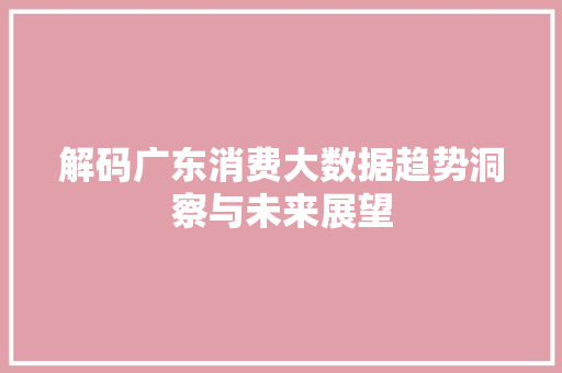解码广东消费大数据趋势洞察与未来展望 建站教程