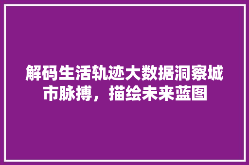 解码生活轨迹大数据洞察城市脉搏，描绘未来蓝图
