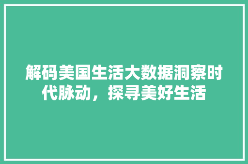 解码美国生活大数据洞察时代脉动，探寻美好生活