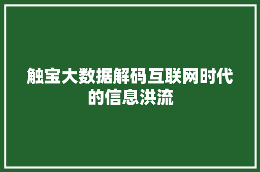 触宝大数据解码互联网时代的信息洪流