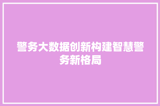 警务大数据创新构建智慧警务新格局 建站教程