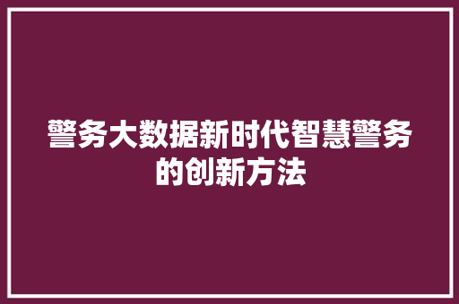 警务大数据新时代智慧警务的创新方法 建站教程