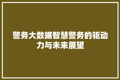 警务大数据智慧警务的驱动力与未来展望