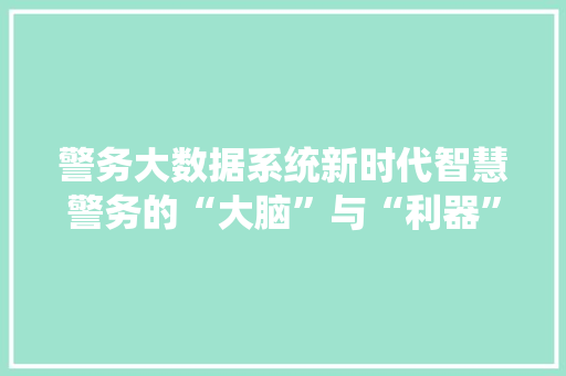 警务大数据系统新时代智慧警务的“大脑”与“利器”