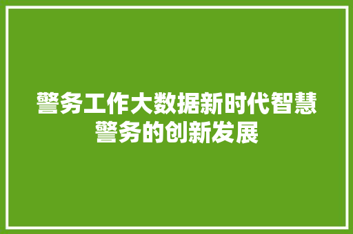 警务工作大数据新时代智慧警务的创新发展