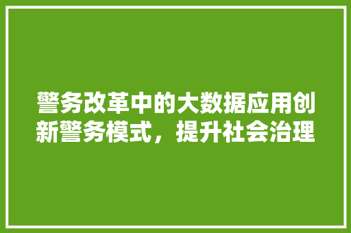 警务改革中的大数据应用创新警务模式，提升社会治理效能