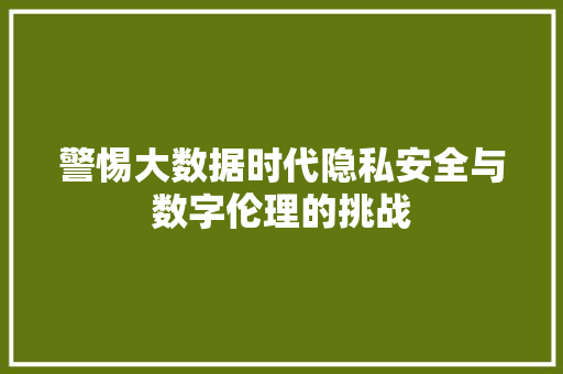 警惕大数据时代隐私安全与数字伦理的挑战 建站教程