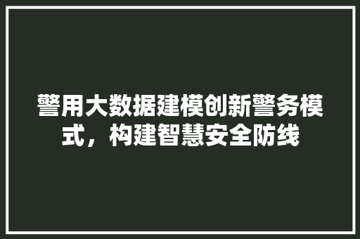 警用大数据建模创新警务模式，构建智慧安全防线