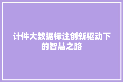 计件大数据标注创新驱动下的智慧之路