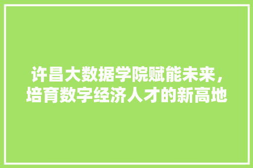许昌大数据学院赋能未来，培育数字经济人才的新高地