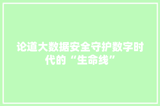 论道大数据安全守护数字时代的“生命线”