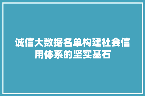 诚信大数据名单构建社会信用体系的坚实基石