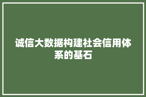 诚信大数据构建社会信用体系的基石
