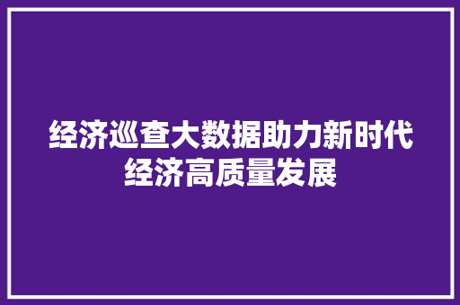 经济巡查大数据助力新时代经济高质量发展