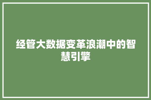 经管大数据变革浪潮中的智慧引擎