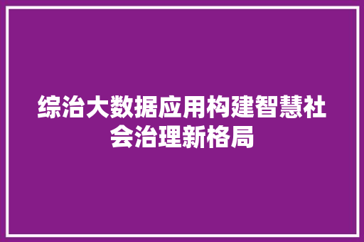 综治大数据应用构建智慧社会治理新格局