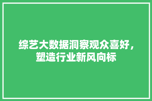 综艺大数据洞察观众喜好，塑造行业新风向标 服务器/数据库
