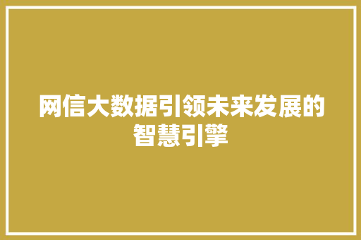 网信大数据引领未来发展的智慧引擎