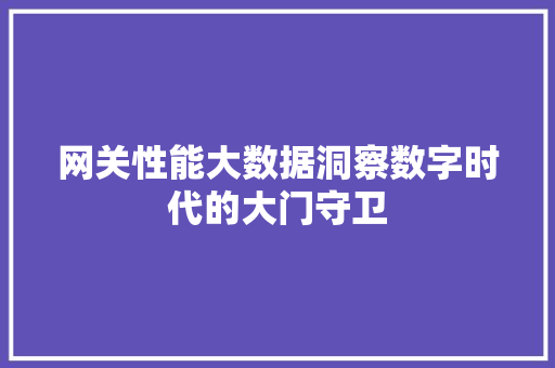 网关性能大数据洞察数字时代的大门守卫