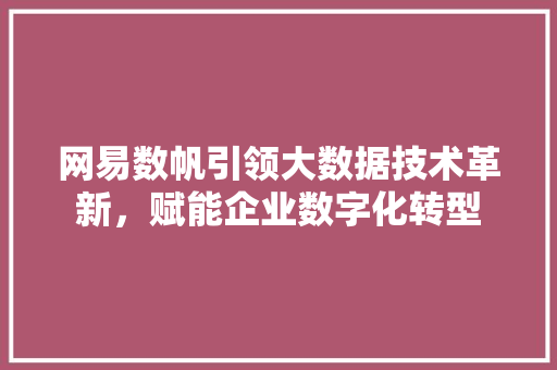 网易数帆引领大数据技术革新，赋能企业数字化转型