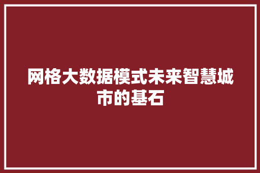 网格大数据模式未来智慧城市的基石