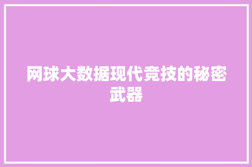 网球大数据现代竞技的秘密武器