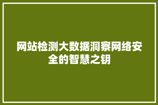 网站检测大数据洞察网络安全的智慧之钥