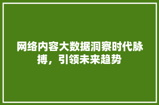 网络内容大数据洞察时代脉搏，引领未来趋势