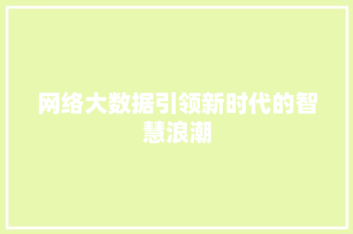 网络大数据引领新时代的智慧浪潮